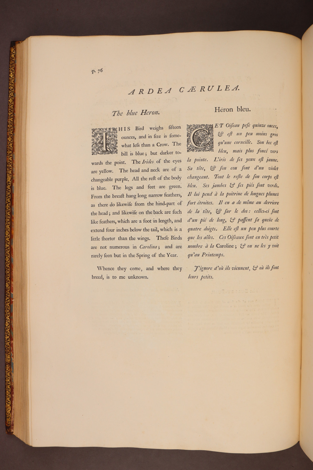 Page 76